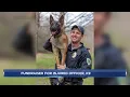 Fundraiser created to support Madison police officer injured in crash