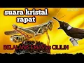 Download Lagu Masteran Belalang emas sambung cililin dengan jeda