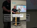Public safety s confirm nine homes destroyed by the Bug and Stallion Fires