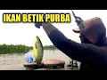 Download Lagu SEUMUR UMUR BARU KALI INI MANCING DAPAT IKAN SEBESAR INI