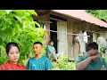 Download Lagu Tears and Longing: Quang’s Determined Return to His Mother and Beloved Linda