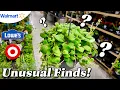 Hanging Baskets Galore Some Unusual Plant Finds Walmart Lowe s Target