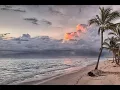 Download Lagu Meeka | Steve Adams | Calm Mood | No Copyright