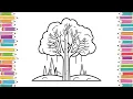 Branch Out Fun Tree Coloring Pages for Kids