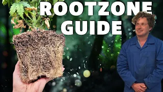 the surprising truth about rootzones and cannabis potency