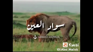 حاله واتس       دايره بتطبل كلاب الماده والخاينين عليا كتير وعمله علي كمين ونصبو عزايه في ثواني دندنها