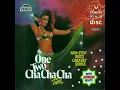 One Two Cha Cha Cha By Tabun | Non-Stop Disco Cabaret Song | With Jhankar Beats