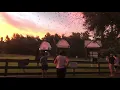 UF Bat Houses Gainesville FL