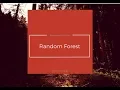 Overview Implementation on Random Forest Classifier for Diabetes dataset Python Explanation