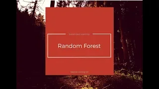 Overview Implementation on Random Forest Classifier for Diabetes dataset Python Explanation
