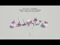 Sultan + Shepard - More Than You Ever Know feat. Angela McCluskey