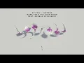 Download Lagu Sultan + Shepard - More Than You Ever Know feat. Angela McCluskey