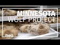 Wolf Skull Prep 101
