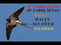 Download Lagu SP   TARIK SENJA.   WALET SULAWESI