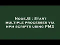 NodeJS Start multiple processes via npm scripts using PM2