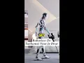 Download Lagu Robotica: De Toekomst Voor Je Deur – Betaalbaar en Bijna Perfect.