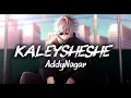 Kaley Sheshe Addy Nagar Official Music Video 