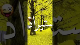 مهرجان سكينتي على وشك البنت جامده استيراد يونان تصميم شاشة تصاميم حالات واتس اب ستوري انستا 