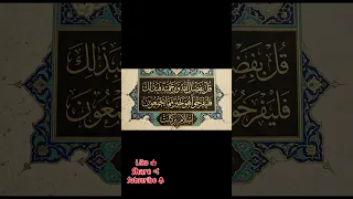 نور الد  نا ﷺ   أنشودة مدح للرسول بدون موسيقى تهز القلوب                     دندنها
