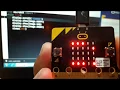 Display Your name on MICRO BIT using micro python
