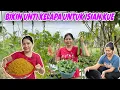 Download Lagu CEK BUBU KAMI DAPAT BANYAK IKAN LANJUT PANEN GAMBAS DAN SAYUR KAILAN