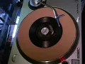 Bruce Hornsby   Mandolin Rain   1986   Styrene Major Q burn