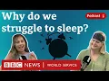 How to get your best night s sleep - What in the World podcast BBC World Service