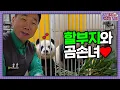 Lagu 첫눈과 함께 후극성이 돌아왔다...!❄️  | 전지적 할부지 시점 ep.243