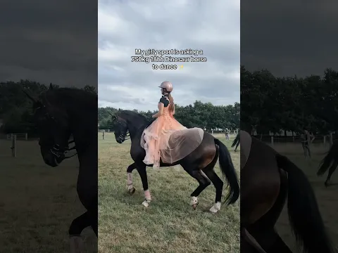 Girly pop ✨🧚‍♀️💞 #equestrian #dressage