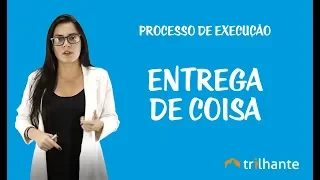 Processo de Execução - Entrega de Coisa
