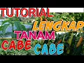 Download Lagu TUTORIAL CARA MENANAM CABE DARI AWAL HINGGA PANEN, FULL DURASI