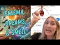 Download Lagu Plasma, Dreams, and Smell - Plasma Intelligence, The Dreamworld, \u0026 The Olfactory Sense