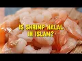 Is Shrimp Halal in Islam The Definitive Answer