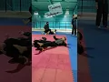 Download Lagu Fighting Techniques of #pencak #silat #pencaksilat #tending #fight #fighter #technique #martialarts