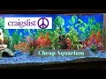GETTING AN AQUARIUM FROM CRAIGSLIST