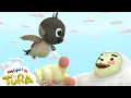 Download Lagu Burung Kutilang | Lagu Animasi Anak Viral dan Terbaru Indonesia