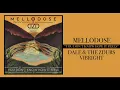 Mellodose, Dale and the ZDubs, Vibright - “You Don’t Know How It Feels”