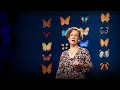 How you can help save the monarch butterfly -