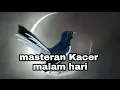 Download Lagu TERAPI MASTERAN AMPUH KACER MALAM HARI