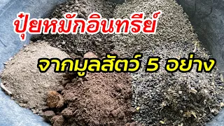 521/ ปุ๋ยหมักอินทรีย์ จากมูลสัตว์ 5 อย่าง  /ตั้มเกษตรพอเพียง เกษตรมือใหม่
