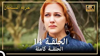 4K حريم السلطان الحلقة 14 