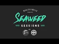 Reef - Place Your Hands (Seaweed Sessions X LFTGR)
