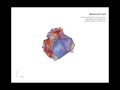 Generative iteractions using Grasshopper and Anemone