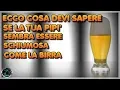 Download Lagu ECCO COSA DEVI SAPERE SE LA TUA PIPI' SEMBRA ESSERE SCHIUMOSA COME LA BIRRA