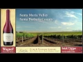 Belle Glos Pinot Noir Clark Telephone Wine