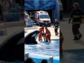 Download Lagu Sad News Jessica and dolphin. Jessica is no more #Jessica #orca #attack #JessicaRadcliffeOrca