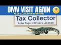 Collector and Alligator Tampa Bay Florida
