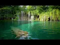 Download Lagu Relaxing Background Guitar Music with Waterfall - Meditate, Focus, Study, Sleep