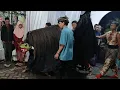 Download Lagu MACAN MACANAN DEWI SEKAR WANGI JAMBESARI_ATRAKSI MARI NGARAK KEMANTEN_LIVE ANDONG TAMANSURUH.