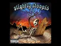 This Joint - Slightly Stoopid